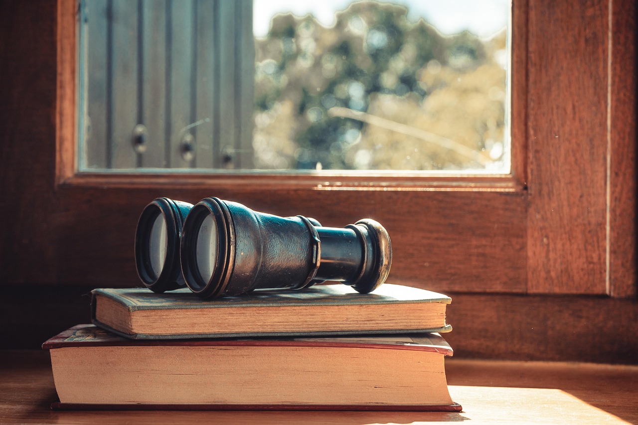 Dlaczego warto zainwestować w okna drewniano-aluminiowe? Kluczowe zalety i porównanie z innymi rozwiązaniami